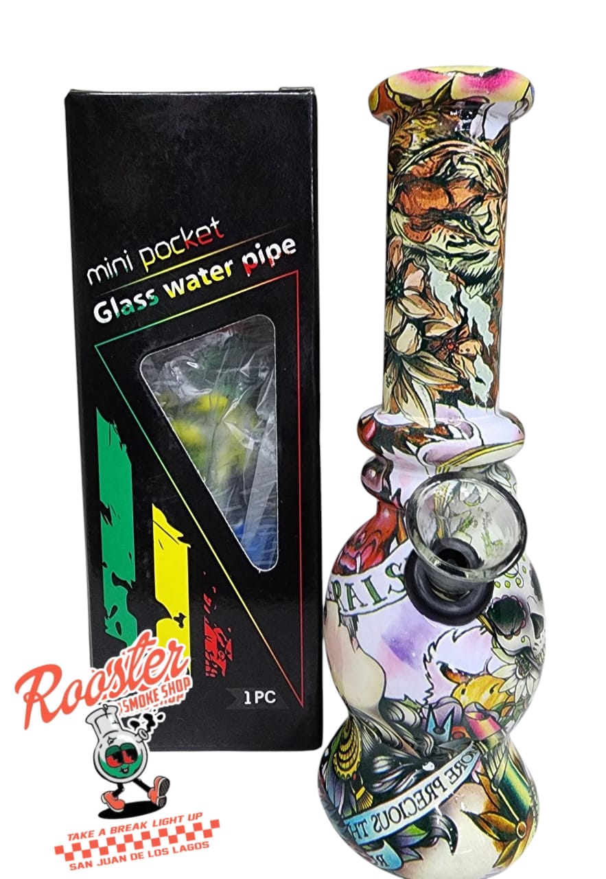 MINI PIPA DE AGUA DE VIDRIO DISEÑOS